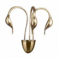 бра lightstar cigno collo 751632 в Краснодаре