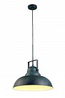 подвесной светильник arte lamp martin a5213sp-1bg в Краснодаре