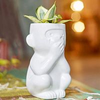 горшок для растений eco молчун в Краснодаре