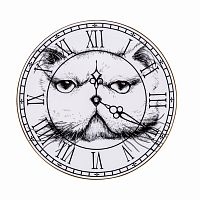 тарелка кот на циферблате в Краснодаре