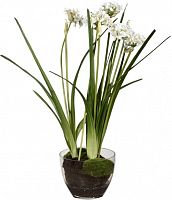 декор allium в Краснодаре