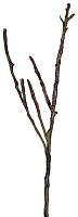 декор dry branches в Краснодаре