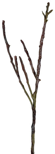 декор dry branches в Краснодаре