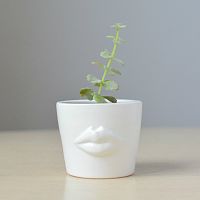 набор для выращивания eco мини-кашпо «губы» в Краснодаре