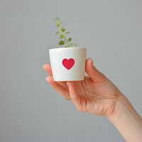 набор для выращивания eco мини-кашпо «сердце» в Краснодаре