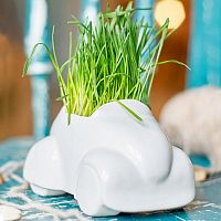 набор для выращивания eco машина в Краснодаре