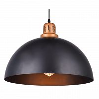 подвесной светильник arte lamp eurica a4249sp-1bk в Краснодаре