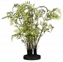 декор ferns в Краснодаре