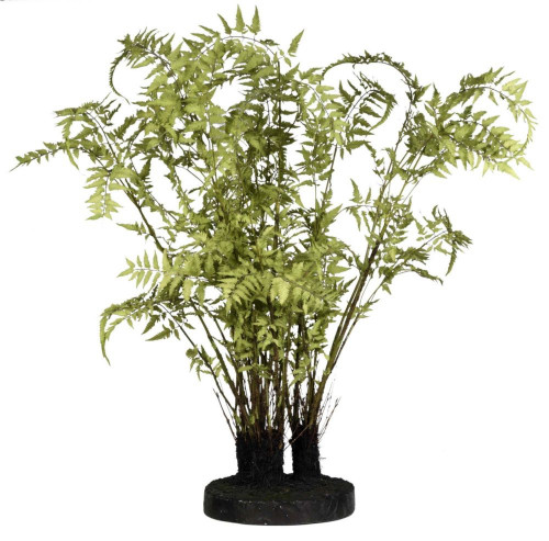 декор ferns в Краснодаре