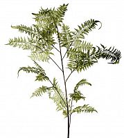 декор fl12056 (giant fern) в Краснодаре