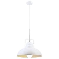 подвесной светильник arte lamp martin a5213sp-1wg в Краснодаре