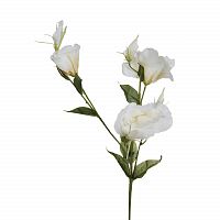 лизиантус белый 78 см (36) в Краснодаре