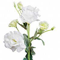 лизиантус белый 77 см (12) в Краснодаре
