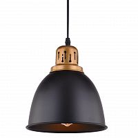 подвесной светильник arte lamp eurica a4245sp-1bk в Краснодаре