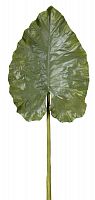декор giant taro leaf в Краснодаре