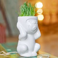 горшок для растений eco игнорик в Краснодаре