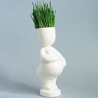 набор для выращивания eco мама в Краснодаре