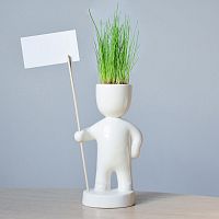 набор для выращивания eco знаменосец в Краснодаре