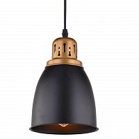 подвесной светильник arte lamp eurica a4248sp-1bk в Краснодаре