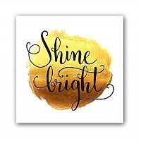 постер shine а3 в Краснодаре