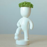 набор для выращивания eco футболист в Краснодаре
