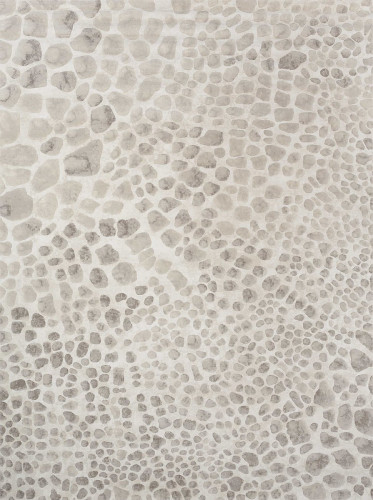 ковер ivory 64227i6575 160x230 в Краснодаре