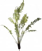декор fern plant в Краснодаре