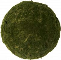 декор moss sun в Краснодаре