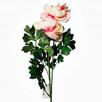 пион розовый 62 см (12) в Краснодаре